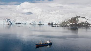 Trawler vor antarktischer Küste