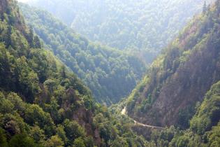Rumänische Wälder in den Karpaten in der Nähe des Dorfes Capatinenii Ungureni.