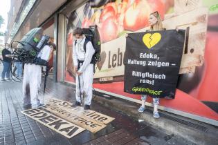 Greenpeace-Aktivist:innen protestieren vor einem Edeka-Supermarkt in Köln für mehr Tierschutz und Klimaschutz.