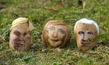 Portrait von Guido Westerwelle, Angela Merkel und Horst Seehofer auf Kartoffeln.