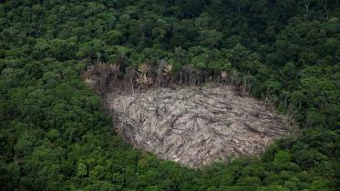 Luftaufnahme: Der Abbau von Rohstoffen zerstört den Regenwald im Amazonas-Gebiet im November 2011