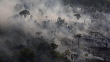 Große Teile des Amazonas-Regenwaldes werden zerstört für den Soja-Anbau 08/27/2007