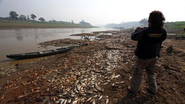 Ein Greenpeace-Aktivist fotografiert tote Fische im ausgetrockneten Flussbett des Manaquiri 11/25/2009
