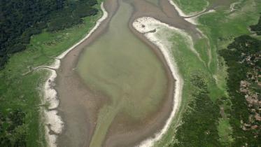 Dürre im Amazonasbecken: Der Fluss Manaquiri ist weitgehend ausgetrocknet  11/24/2009