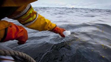 Greenpeace-Experte entnimmt Wasserproben vor der Förderplattform Elgin im April 2012