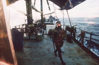 1995: Französische Marine entert die Rainbow Warrior II