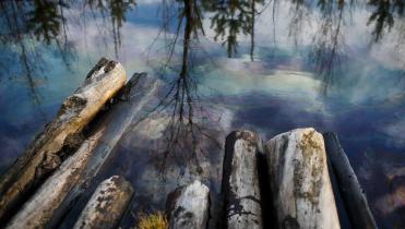 Ein kleiner See, bedeckt von einem in den Regenbogenfarben schillernden Ölfilm; vorn im Bild liegen einige Baumstämme.