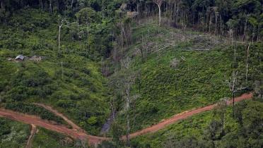 Degradierung im Amazonas