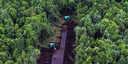 Entwässerungskanal in Torfboden, Sumatra, Indonesien