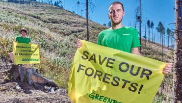 Zwei Greenpeace-Aktivisten in grünen T-Shirts stehen auf einer kahlgeschlagenen Waldfläche, darauf nur vereinzelte, völlig kahle Baumstämme. Nur ganz hinten ist noch etwa ein Dutzend Bäume mit Nadelkleid zu sehen.