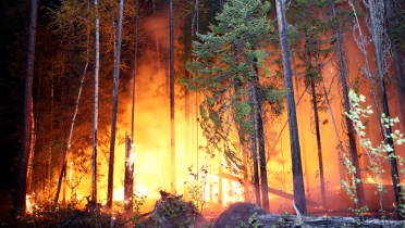 Waldbrand in der russischen Region Irkutsk
