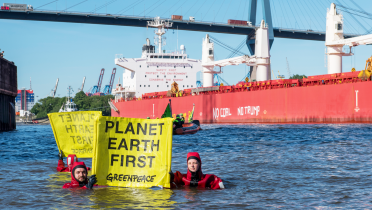 Greenpeace-Aktivisten sprangen vor dem Kohleterminal im Hamburger Hafen in die Elbe. Sie hielten Banner mit der Botschaft "Planet Earth First".