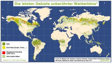 Weltkarte Wälder: Verbliebene Waldwildnis
