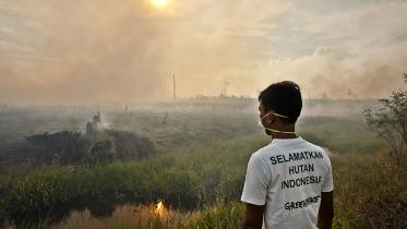 Ein Greenpeace-Aktivist beobachtet die schwelenden Brände auf Sumatra 06/23/2013