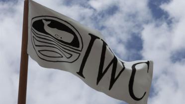 Ab dem 15.9. findet die 65. Jahrestagung der Internationalen Walfangkommission IWC statt