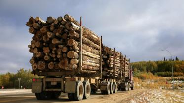 Holztransporter in Alberta, Kanada 10/09/2009