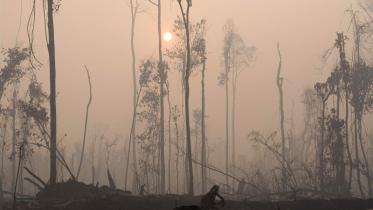 Brandrodung eines Waldes am Kapuas-Fluss in Kalimantan, Indonesien 10/04/2007