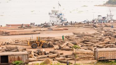 Holzhafen in Kinshasa
