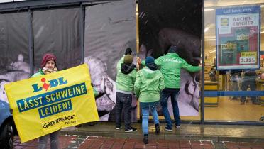 Aktivisten überdecken die Fensterscheiben einer Lidl-Filiale mit Fotos von Schweinen aus Massentierhaltung, im Vordergrund ein Banner: Lidl lässt Schweine leiden.