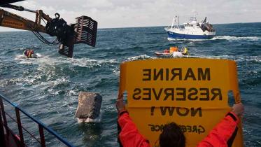 Greenpeace-Aktivisten versenken Meeresschutzsteine vor der schwedischen Küste, August 2009.