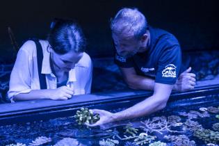 Louisa Schneider spricht mit Wissenschaftler:innen des Forever Reef Project die bedrohten Korallenarten sammeln und erhalten