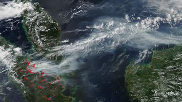 Satellitenaufnahme der Waldbrände in Indonesien (19.06.2013)
