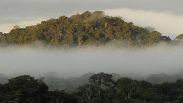 Rio Negro im Amazonas Regenwald, Pico da Neblina, Brasilien im Mai 2006