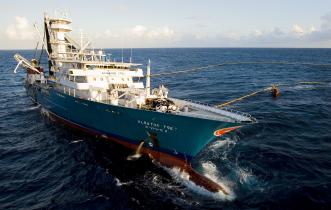 Der größte Thunfischtrawler der Welt, die spanische Albatun Tres, kann 3.000 t Thunfisch aufnehmen.