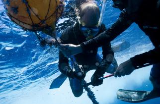 Pazifik 2009: Greenpeace-Taucher durchtrennen die Halteseile eines Fischsammlers