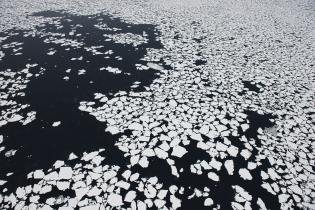 Greenpeace dokumentiert den niedrigsten Stand des Meereises, September 2012