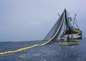 Der Trawler Yu Wen 101 holt sein Netz ein, Pazifik 2004