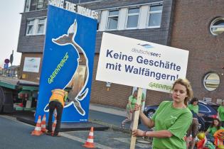 Greenpeace-Aktivisten protestieren für den Schutz der Wale bei der Zentrale von Deutsche See in Bremerhaven, August 2013