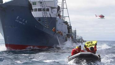 Schlauchboot-Aktion gegen japanische Walfänger