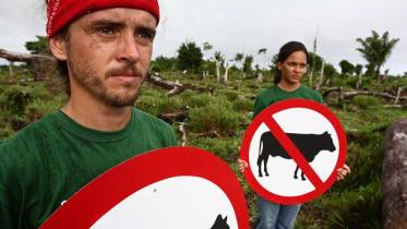 Greenpeace-Aktivisten protestieren gegen die Umwandlung von Regenwald in Farmland im Januar 2009