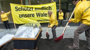 Aktivisten "beerdigen" tote Schweinswale um für besseren Schutz zu protestieren 06/26/2013
