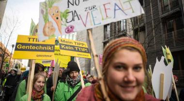17.01.2015: Rund 50.000 Menschen demonstrieren in Berlin während der Grünen Woche gegen das geplante Handelsabkommen TTIP