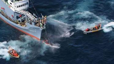 Mit Schlauchbooten versuchen Greenpeace-Aktivisten den Walfänger Yushin Maru No.2 am Schlachten von Walen zu hindern, Dezember 2005