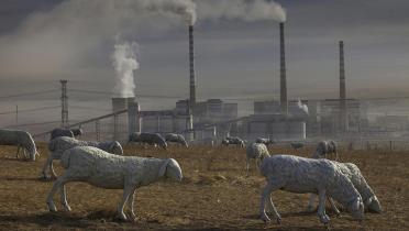 Auf diesem Grasland in der Mongolei stehen nur noch Skulpturen von Tieren. Wegen der Verschmutzung des Landes können dort keine Schafe und Kühe mehr weiden.