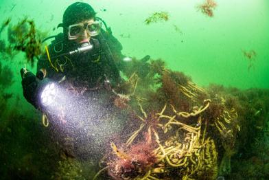 Divers clearing Ghost net in North and Baltic Sea Protected Areas