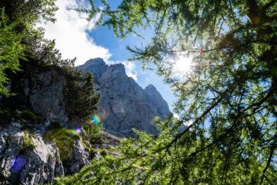 Waxenstein im Wettersteingebirge bei Garmisch-Partenkirchen Bayern im Sonnenschein mit für die Alpen typischem Bewuchs