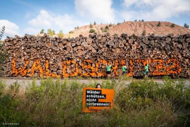 Greenpeace-Aktive demonstrieren vor einem Kraftwerk, das ganze Bäume verheizt.