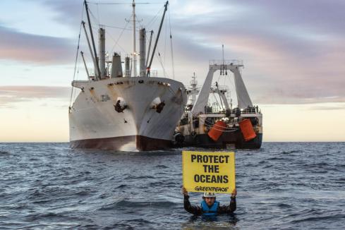 Transshipment Overfishing Argentine Sea