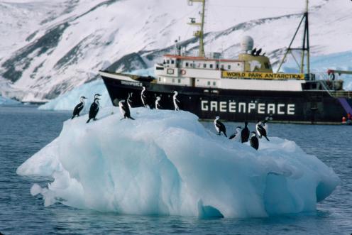 MV Greenpeace in Antarctica