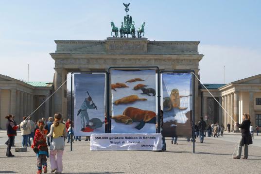 Aktion gegen Robbenjagd vor dem Brandenburger Tor