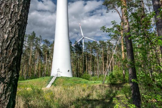 Windpark bei Petkus