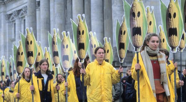 Greenpeace Aktivist:innen legen 200 Schilder aus Maiskolben mit Halloween-Gesichtern auf den Rasen vor dem Reichstag - Protest gegen die unkontrollierte Ausbreitung gentechnisch veränderter Pflanzen. 