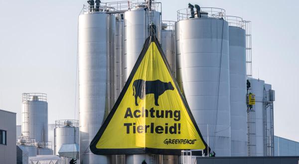 Kletter:innen und großes gelbes dreieckiges Banner am Milchsilo mit der Aufschrift "Achtung Tierleid" und einer abgebildeten Kuh