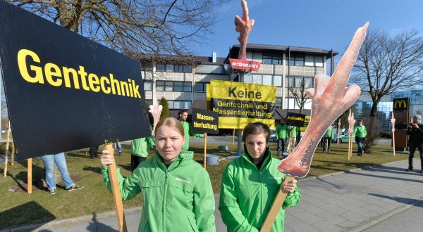 Greenpeace-Aktivisten demonstrieren vor der McDonald's-Zentrale in München