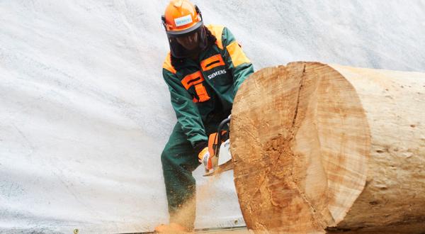 Vor der Siemens-Zentrale zersägt ein Greenpeace-Aktivist den Stamm eines Paranuss-Baumes