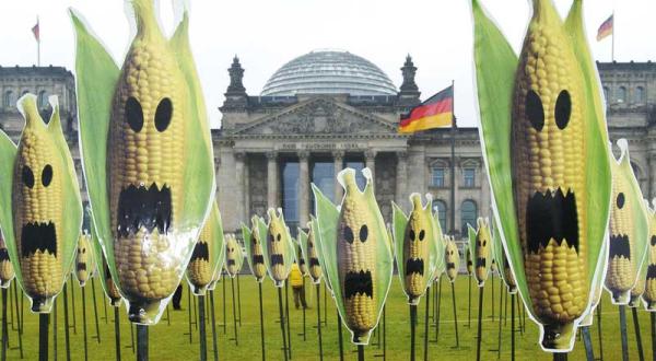 Auf der Wiese vor dem Reichstagsgebäude in Berlin stehen Dutzende Aufsteller von Maiskolben, die ein Fratzen-Gesicht zeigen.